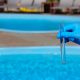 Algae prevention is top priority for pool owners. We discuss ways to prevent or slow an algae outbreak and what to do if one occurs in your pool.