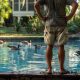 Repel Birds From Your Pool With These Helpful Tips