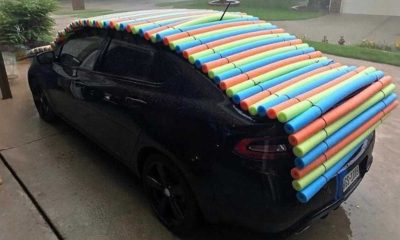 Pool Noodle Hail Hack Goes Viral