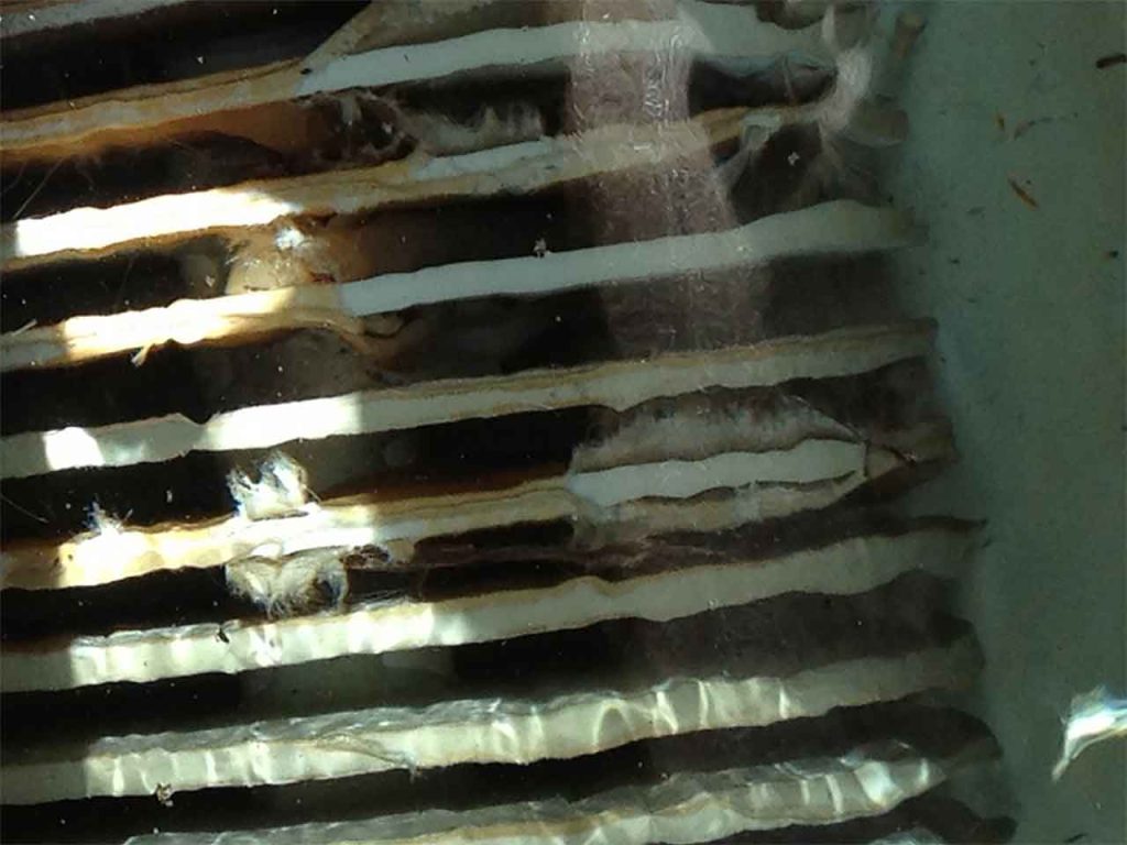 Torn fabric on DE filter grids allows unfiltered water and DE powder to return to the pool 